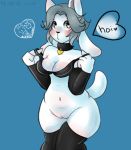 &lt;3 &lt;3_eyes 2015 anthro blue_background blush breasts cleavage clothed clothing collar dongitos female fur grey_hair hair legwear mammal navel pussy simple_background solo temmie_(undertale) thigh_highs undertale video_games white_fur 