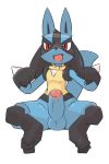  2019 anthro balls blue_fur blush canid canine cute_fangs erection front_view fur hi_res humanoid_penis kesu_pu lucario male mammal nintendo open_mouth penis pok&eacute;mon pok&eacute;mon_(species) red_eyes simple_background smile solo video_games 