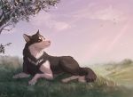  2019 amber_eyes ambiguous_gender canid canine canis day detailed_background digital_media_(artwork) feral grass lying mammal noquelle outside paws pink_nose sky solo tree wolf 