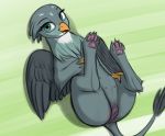  2019 4_toes avian beak eyelashes feathered_wings feathers female friendship_is_magic fur gabby_(mlp) gryphon looking_at_viewer lying mercurial64 my_little_pony on_back pussy solo toes wings 