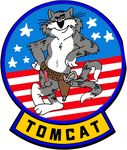  f-14 grumman_tomcat mascots tagme 