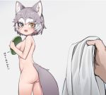  1girl :d animal_ear_fluff animal_ears ass blue_eyes breasts commentary dog_(mixed_breed)_(kemono_friends) dog_ears dog_tail extra_ears eyebrows_visible_through_hair fang frisbee grey_hair heterochromia holding holding_towel kemono_friends looking_back medium_breasts multicolored_hair nude nyifu open_mouth orange_eyes pov pov_hands short_hair simple_background smile solo_focus tail towel two-tone_hair water_drop wet white_hair 