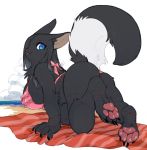  anthro bangs beach big_breasts black_fur blue_eyes blush breasts claws clothing felid feline female fur hair invalid_tag long_hair mammal olva_(character) ookamikurepu pawpads scar sea seaside shalulu solo water もち 