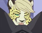  &lt;3 &lt;3_eyes 2019 acino acino_(artist) anthro blonde_hair canid canine canis cheetah clitoris cunnilingus digital_media_(artwork) duo ear_piercing ear_ring felid feline female female_pov first_person_view fur green_eyes grey_fur hair licking looking_at_viewer male male/female mammal nude one_eye_closed oral piercing pussy sex simple_background spots tongue tongue_out vaginal wink wolf yellow_fur 