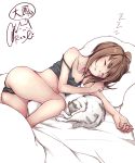  1girl black_panties blush brown_eyes cat closed_eyes closed_mouth kantai_collection lying on_bed on_side panties pillow rizzl short_hair sleeping sleepwear taihou_(kantai_collection) underwear zzz 