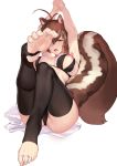  1girl absurdres animal_ears antenna_hair arms_behind_head arms_up atorosu black_legwear blazblue blush bra breasts brown_eyes brown_hair cameltoe feet frills hair_between_eyes hands_clasped highres interlocked_fingers large_breasts makoto_nanaya nippleless_clothes nipples no_shoes open_mouth own_hands_together revealing_clothes short_hair simple_background sitting soles solo squirrel_ears squirrel_girl squirrel_tail tail thighhighs toes underwear 