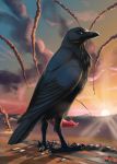  airplanes apothem australian_raven avian beak bird claws corvid corvus_(genus) deity erection explosion feet feral hangars macro magpi male military_base penis raven sunset talons tapering_penis 