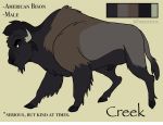  american_bison animal_genitalia bison black_fur bovid bovine brown_fur creek_(meeritos) english_text feral fur grey_fur hooves horn male mammal meeritos model_sheet quadruped sheath solo standing text 