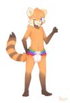  2019 3_toes 4_fingers ailurid anthro biped black_fur blue_eyes diaper dreamyart ear_tuft fingers fur hand_on_diaper hand_on_hip looking_at_viewer male mammal multicolored_fur multicolored_tail navel one_eye_closed orange_fur pink_nose red_panda simple_background solo standing striped_tail stripes toes tuft white_background young 
