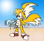  c.w. flicky sonic_team tagme tails 