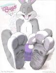  2019 3_toes absurd_res anthro barefoot being_watched between_toes buckteeth bugs-bunny_(artist) bugs_bunny bulge buster_bunny clothing duo english_text feet foot_focus fur grey_fur hi_res lagomorph leporid long_ears looking_at_another looking_at_viewer looney_tunes male mammal open_mouth pink_nose rabbit rodent simple_background soles solo teasing teeth text tiny_toon_adventures toes underwear url warner_brothers whiskers white_fur 