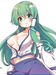  1girl bare_shoulders blue_skirt breasts cleavage collarbone detached_sleeves frog_hair_ornament green_eyes green_hair hair_ornament hair_tubes kochiya_sanae konnyaku_(kk-monmon) large_breasts long_hair long_sleeves looking_at_viewer midriff navel no_bra open_clothes open_shirt shirt simple_background skirt solo touhou upper_body white_background white_shirt wide_sleeves 