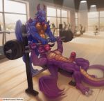  activision andor anthro balls bench_press bodily_fluids conditional_dnp danza dragon duo erection genital_fluids gym hi_res humanoid_penis leaking male male/male patreon penis penis_on_face precum ragnar spotting spyro spyro_the_dragon uncut video_games weights western 