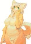  anthro aruurara big_breasts blush breasts canid canine canis domestic_dog female green_eyes hair hi_res looking_away mammal nude shiba_inu simple_background spitz white_background 