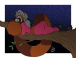  ailurid anthro clothing female hi_res lunarspy mammal pajamas red_panda sleeping solo ymalke 