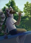  anthro chilling female lemur mammal primate strepsirrhine sunny 