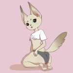  1:1 absurd_res anthro canid canine clothed clothing female fennec fox hi_res mammal small_(disambiguation) solo 