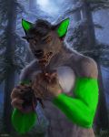  2019 5_fingers anthro aurru black_hair black_lips black_nose blood bodily_fluids canid canine canis detailed_background digital_media_(artwork) duo eyebrows feral fingers forest fur grass grey_fur hair lips mammal murid murine night open_mouth outside rat rodent teeth tongue tree wolf 