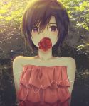  1girl arms_behind_back black_hair day flower hachiware hair_between_eyes highres holding holding_flower idolmaster idolmaster_(classic) kikuchi_makoto looking_at_viewer mouth_hold outdoors purple_eyes red_flower red_rose rose shiny shiny_hair short_hair solo striped upper_body 