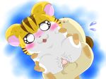  hamtaro maxwell sandy tagme 