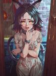  1girl animal_ears bangs black_hair blood blush breasts cat cat_tail chain chained_wrists collar commentary_request door fangs highres looking_at_viewer medium_breasts original outdoors parted_bangs rain short_hair tail tearing_up torn_clothes wangxiii yellow_eyes 