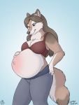  2018 anthro belly big_belly blue_eyes blush bra canid canine canis clothing female fur geckoguy123456789 hair hi_res mammal pregnant smile solo spottedchai underwear wolf 