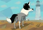  101_dalmatian_street 101_dalmatians animal_genitalia animal_pussy anus back_side blue_sclera canid canine canine_pussy canis collie disney domestic_dog female feral herding_dog hi_res lighthouse looking_back mammal pastoral_dog presenting pussy rear_view sheepdog solo summer_(101_dalmatian_street) summer_(101_dalmatians) 