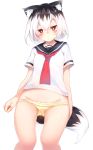  1girl animal_ears bangs black_hair blush breasts character_request eyebrows_visible_through_hair fluffy hands highres looking_at_viewer original otokuyou panties red_eyes school_uniform shiny shiny_skin short_hair simple_background small_breasts solo tagme tail underwear white_background white_hair white_skin yellow_panties 