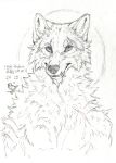  2019 absurd_res anthro arylena blue_eyes canid canine canis hi_res male mammal rakan scar simple_background sketch text were werecanid werecanine werewolf wolf 