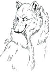  2019 canid canine canis hi_res male mammal rakan scar shex sketch wolf 