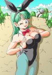  big_breasts blue_eyes bowtie branch breast_squeeze breasts bulma bulma_briefs bunny_ears bunny_tail bunnysuit cleavage clothing cloud dragon_ball dragon_ball_(classic) eyebrows eyebrows_visible_through_hair eyelashes green_hair hair looking_at_viewer nipples nipples_visible_through_clothing one_eye_closed open_mouth rock tongue wall wink youngjijii 