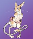  blue_eyes breasts clothed clothing digitigrade dipodid featureless_breasts female fluffy hi_res jerboa long_tail lord_magicpants mammal rodent semi-anthro smile solo tail_tuft topless tuft whiskers 