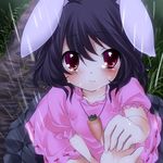  animal_ears bad_id bad_pixiv_id banned_artist black_hair blush bunny_ears carrot dress grass inaba_tewi pov rain red_eyes sad solo tears tepengu touhou 