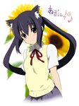  animal_ears bad_id bad_pixiv_id black_hair brown_eyes cat_ears k-on! kyougoku_shin long_hair nakano_azusa school_uniform solo sweater_vest twintails 