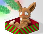  balls blush box chest_tuft christmas eevee erection feral holidays looking_at_viewer male nintendo penis pok&#233;mon pokemon route9 solo tuft video_games yellow_eyes 