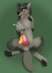  absurd_res anatomically_correct animal_genitalia animal_penis balls black_pawpads blue_eyes bodily_fluids canid canine canine_penis canis cum ear_piercing ear_ring feral fur genital_fluids grey_fur handjob happy hi_res knot link_(wolf_form) male mammal masturbation nintendo orgasm pawpads paws penile penile_masturbation penis piercing sex solo spicypupp the_legend_of_zelda tongue twilight_princess video_game_character video_games wolf 