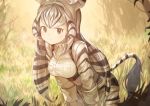  1girl animal_ears animal_print black_hair breast_pocket chapman&#039;s_zebra_(kemono_friends) collared_shirt commentary_request cowboy_shot extra_ears eyebrows_visible_through_hair foliage grass hands_on_own_knees harness kemono_friends khakis koruse long_hair long_sleeves looking_at_viewer multicolored_hair pocket print_shirt print_shorts shirt short_hair shorts sidelocks sleeves_rolled_up solo very_long_hair white_hair zebra_ears zebra_print zebra_tail 