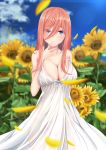  1girl absurdres bare_shoulders blue_bow blue_eyes blue_sky blush bow breasts brown_hair cleavage closed_mouth cloud dress eyebrows_visible_through_hair falling_petals finger_to_mouth flower go-toubun_no_hanayome hair_between_eyes highres large_breasts looking_at_viewer medium_hair nakano_miku outdoors sky spekkio36 standing sunflower white_dress 