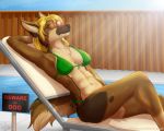  2019 5:4 abananaman abs anthro bikini blonde_hair breasts brown_fur brown_nose canid canine canis chair cheek_tuft chest_tuft clothing day detailed_background domestic_dog english_text eyebrows eyelashes eyewear female fur german_shepherd hair herding_dog inner_ear_fluff mammal navel outside pastoral_dog sasha_(abananaman) sign solo sunbathing sunglasses swimming_pool swimwear teeth text tuft 