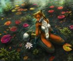  5_fingers anthro aurru black_nose blonde_hair canid canine day detailed_background female fingers fox fur hair mammal nude orange_fur outside partially_submerged solo water whiskers 