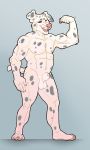  absurd_res albino animal_genitalia anthro_male balls big_balls big_sheath canid canine canis dalmatian domestic_dog fisis flaccid flexing flexing_muscles fully_sheathed hi_res male mammal musclegut muscular muscular_male penis sheath smile solo spots thick_thighs 