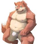  2019 anthro black_nose blush brown_fur bulge canid canine canis claws clothed clothing fur green_eyes hi_res male mammal nipples open_mouth simple_background slightly_chubby solo topless toraya_inugami white_background wolf 