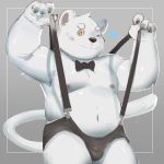  1:1 2019 absurd_res anthro belly black_nose bulge cai1448331577 clothing felid feline fur hi_res male mammal moobs navel nipples one_eye_closed overweight overweight_male simple_background solo underwear white_fur wink 