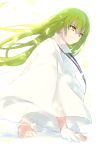  1other androgynous black_ribbon cis05 closed_mouth commentary_request enkidu_(fate/strange_fake) eyebrows_visible_through_hair fate/grand_order fate/strange_fake fate_(series) hair_between_eyes long_hair looking_away petals ribbon robe simple_background sitting smile toga white_background white_robe yellow_eyes 
