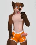  anthro canid canine canis clothing domestic_dog hi_res invalid_tag kan katarhein male mammal penis underwear 