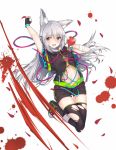  1girl animal_ears apple bite_mark black_legwear blush breasts facial_mark food fruit grey_hair highres long_hair medium_breasts multicolored multicolored_clothes navel open_mouth original personification red_eyes sakurai_momoka_no_musuko short_shorts shorts silver_hair wolf_girl 