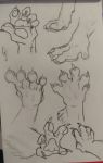  absurd_res ambiguous_gender anthro canid canine claws felid feline feral graphite_(artwork) hi_res mammal paws pencil_(artwork) sketch traditional_media_(artwork) waitingforgodot 