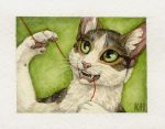  2012 ambiguous_gender brown_fur domestic_cat felid feline felis feral fur green_eyes katie_hofgard mammal solo teeth traditional_media_(artwork) whiskers 