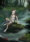  2019 ambiguous_gender anthro barefoot canid canine canis day detailed detailed_background digital_media_(artwork) duo fangs feral fish forest fur grass hi_res looking_up male mammal marine moss nature nude outside partially_submerged rock salmon salmonid_(fish) shiroashi sitting tree water white_fur wolf yellow_eyes 
