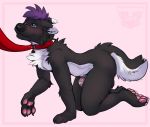  2017 anthro black_fur canid canine canis chastity_cage chastity_device collar crawling digital_drawing_(artwork) digital_media_(artwork) fur hair hi_res leash male mammal multicolored_fur purple_hair redfeatherstorm simple_background solo two_tone_fur white_background white_fur wolf 